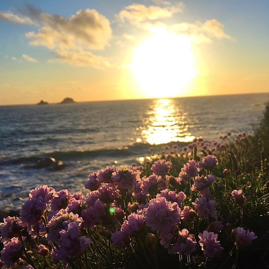 Roselands Caravan Park, Nr Lands End, Cornwall St Just Dış mekan fotoğraf